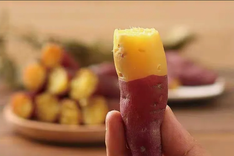 智能甘薯糖化愈合庫(kù)，紅薯存儲(chǔ)新變革